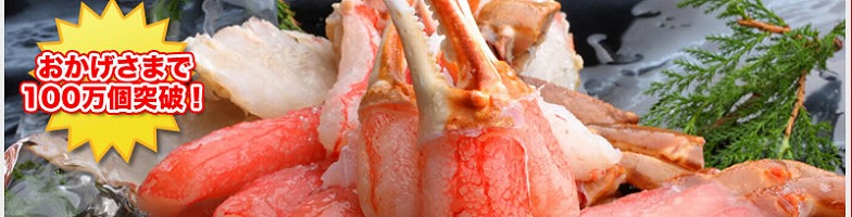 ���ɖ{�܏��T�C�g